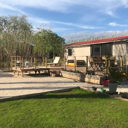 Tiny House Sur La Cote D'Azur Villa Hyères Kültér fotó