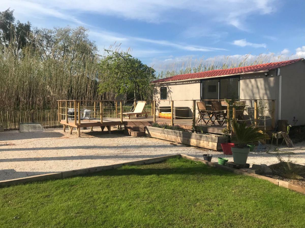 Tiny House Sur La Cote D'Azur Villa Hyères Kültér fotó